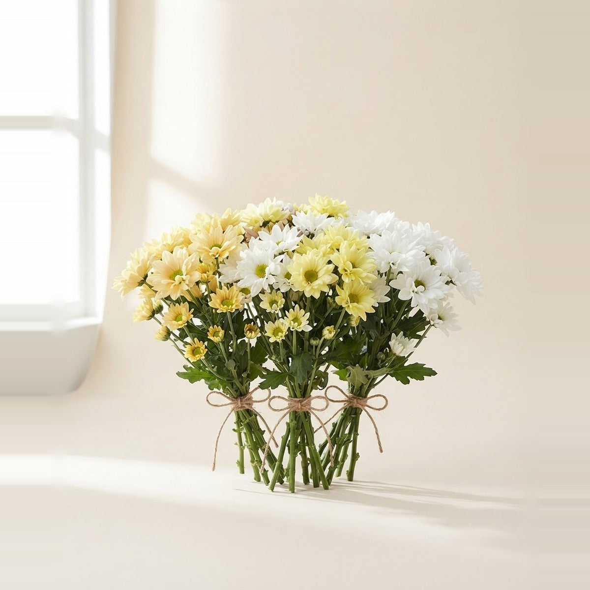 Chrysanthemums — three bunches of chrysanthemums in white and yellow, loosely tied