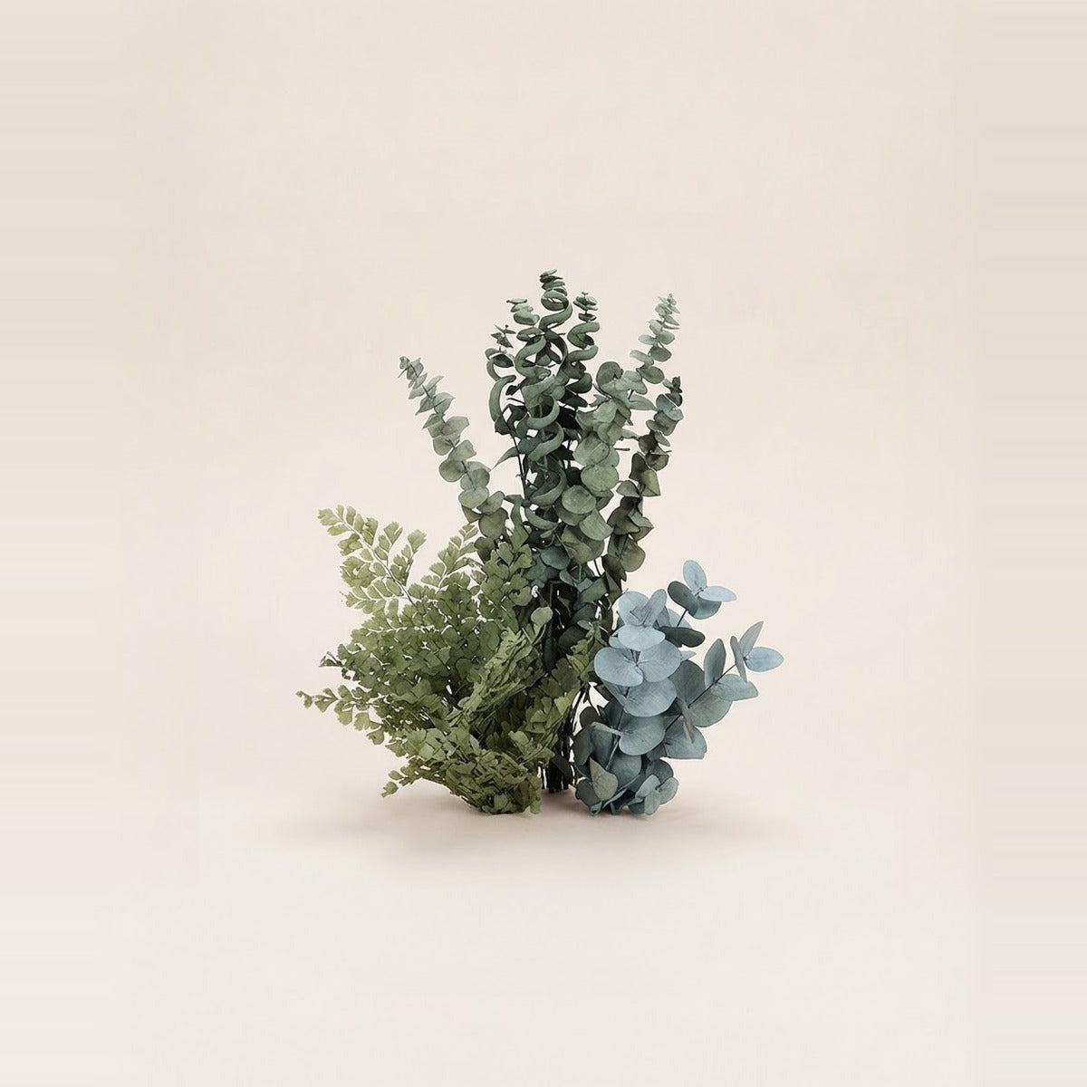 Preserved Foliage — three bunches of preserved foliage in muted green tones