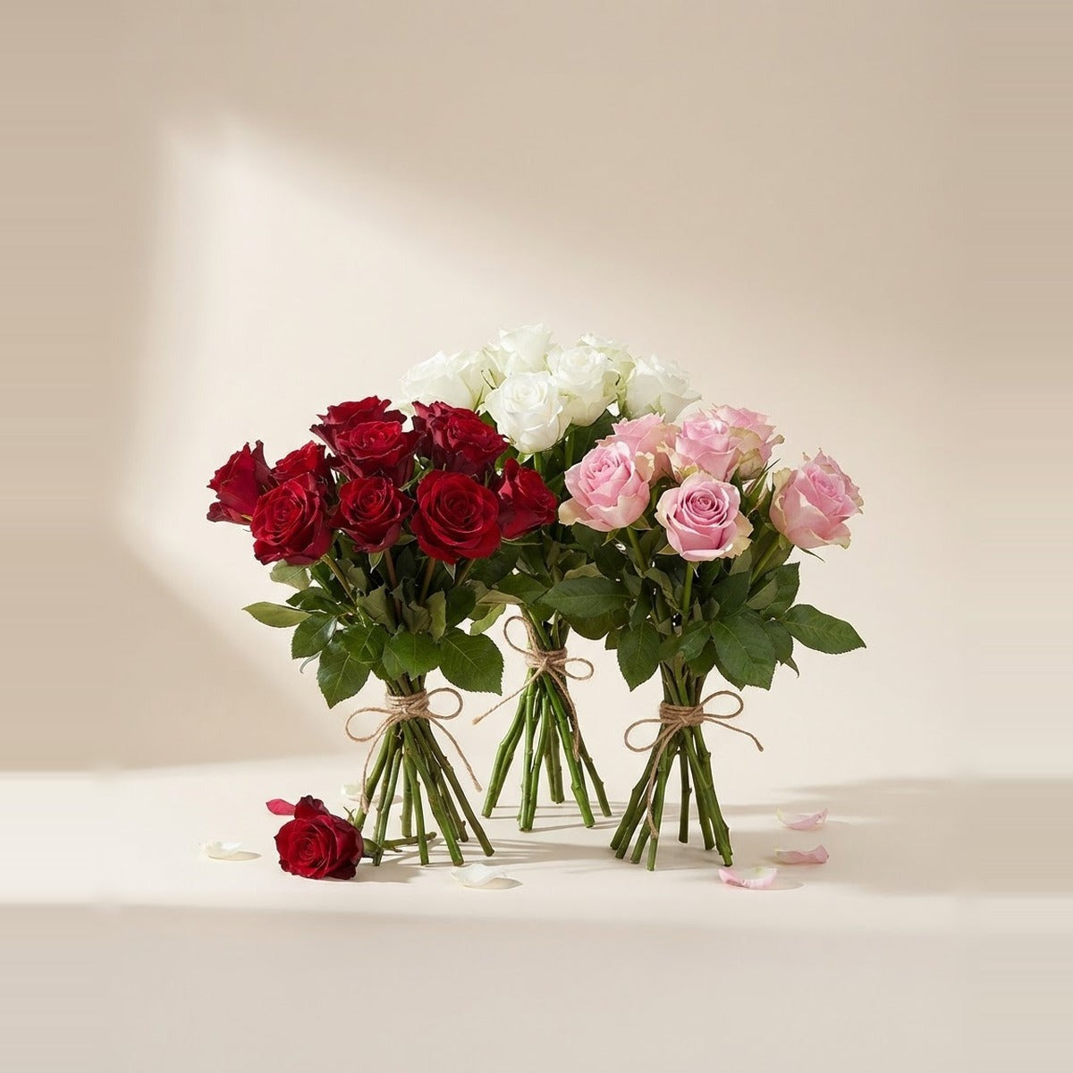 Roses — three bunches of roses in red, white and pink, loosely tied