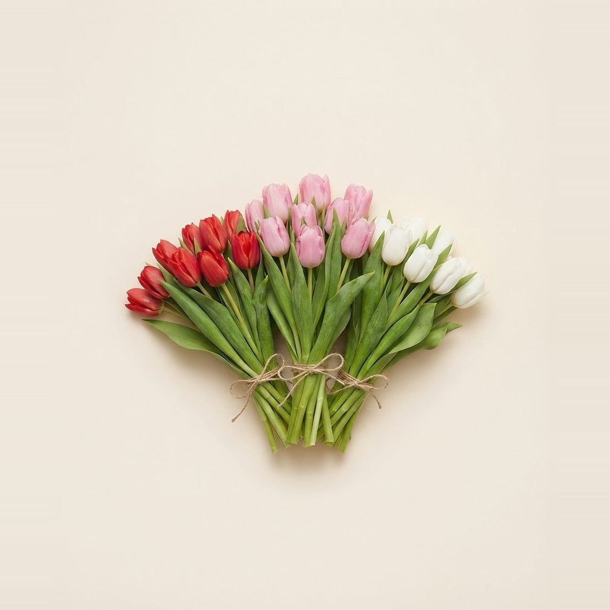Tulips — three bunches of tulips in red, pink and white