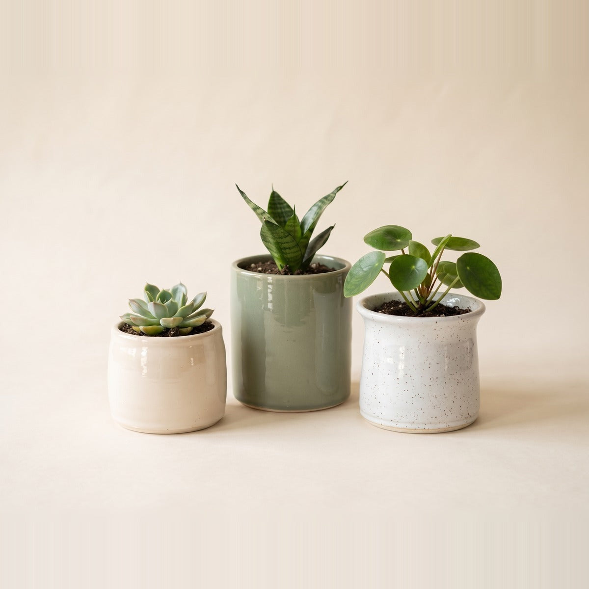 Ceramic Pots — five glazed ceramic plant pots of different heights in cream, sand, terracotta and matt white, one with a small green plant