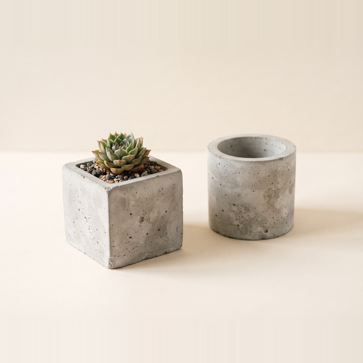 Concrete & Stone Planters — three grey concrete and cast stone planters of different shapes, one holding a snake plant