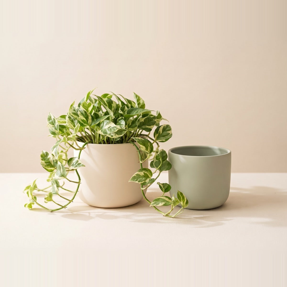 Indoor Pots (no drainage hole) — four indoor plant pots without drainage holes in glazed cream, sand and matt white ceramic, one holding a small plant