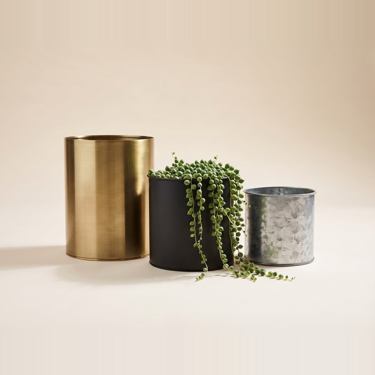 Metal Planters — three brushed metal planters - galvanised zinc, matt black steel and warm brass - one holding a snake plant
