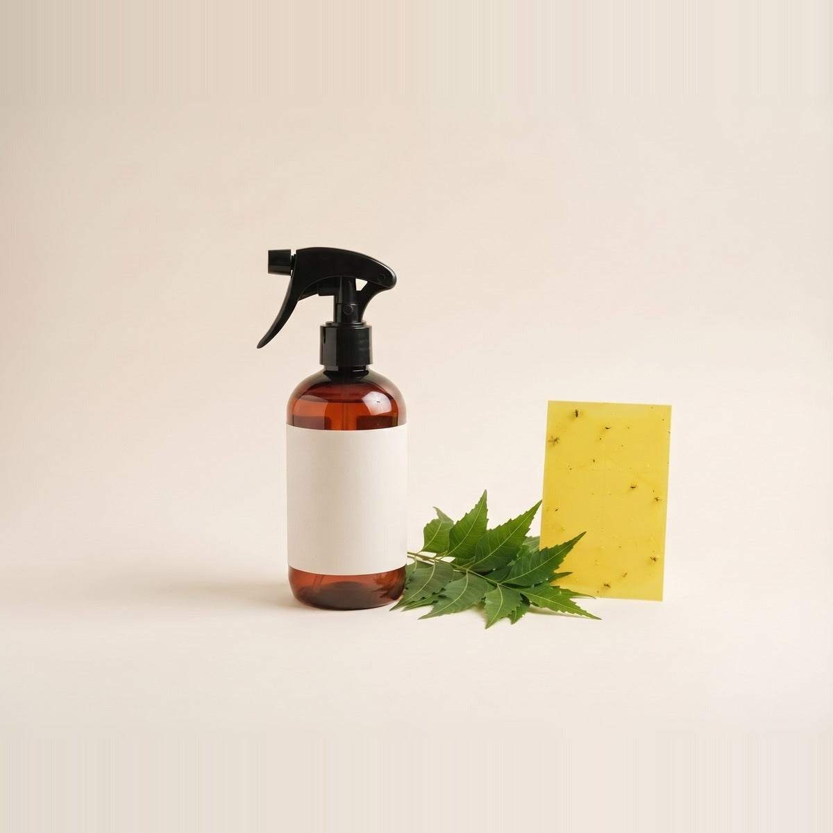 Biological pest control — beneficial-insect pest control for plants - a healthy leafy houseplant with two yellow sticky traps on thin stakes and a small unlabelled amber glass bottle