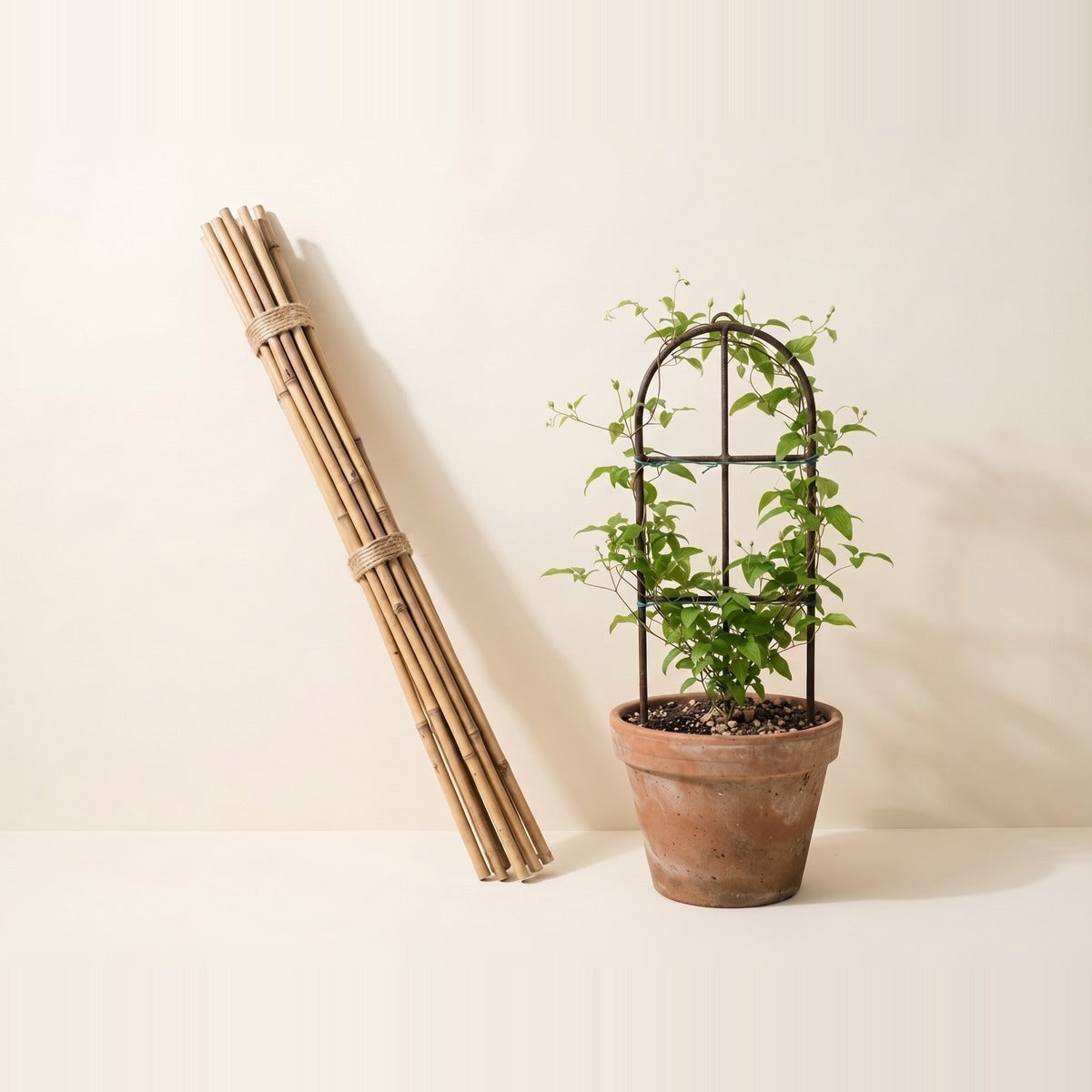 Plant stakes — bamboo and coated metal plant support stakes of different lengths, bundled and standing in a terracotta pot, one supporting a young plant
