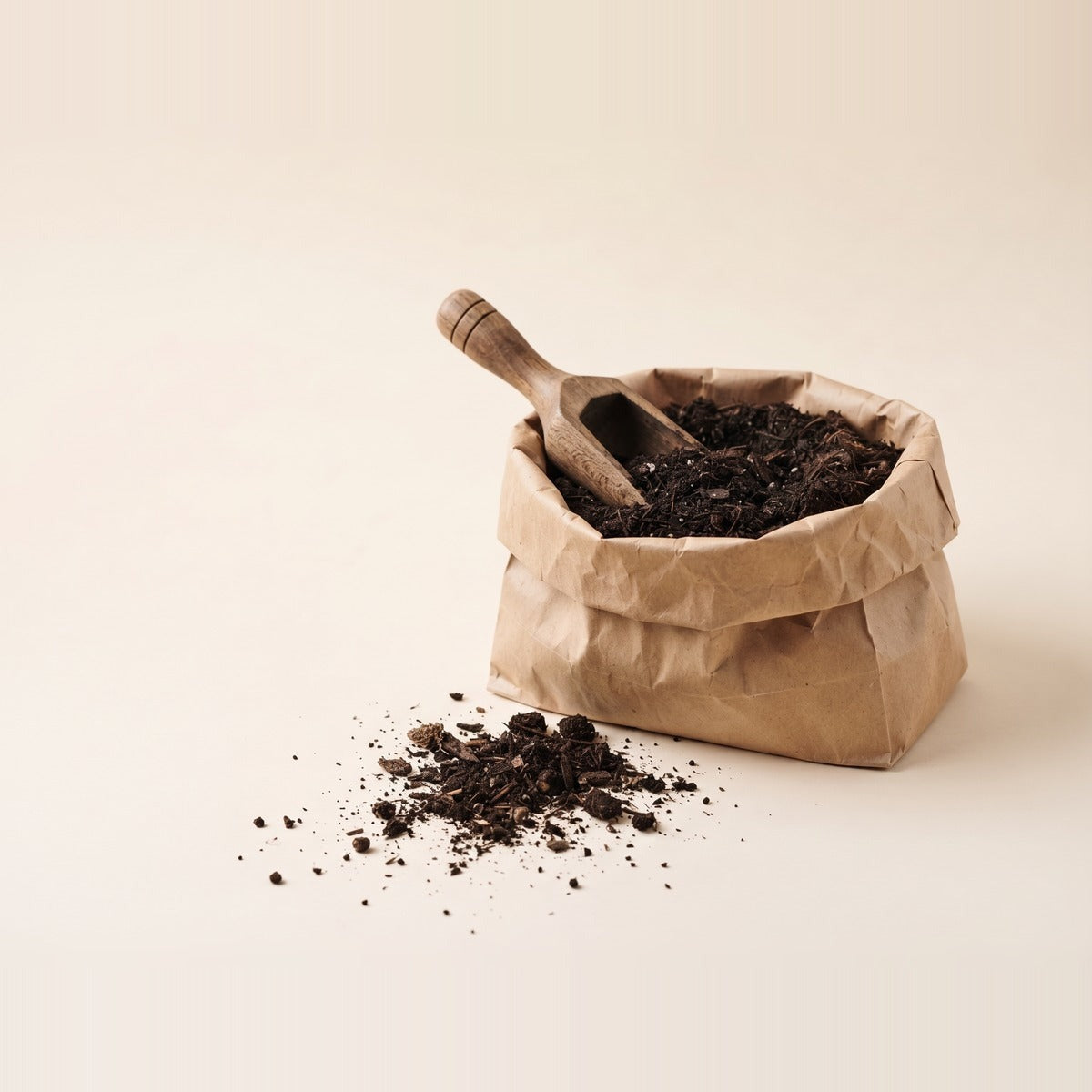 Potting soil — rich dark potting soil in a wide terracotta bowl and a second mound loose on the surface, with a young plant ready to pot
