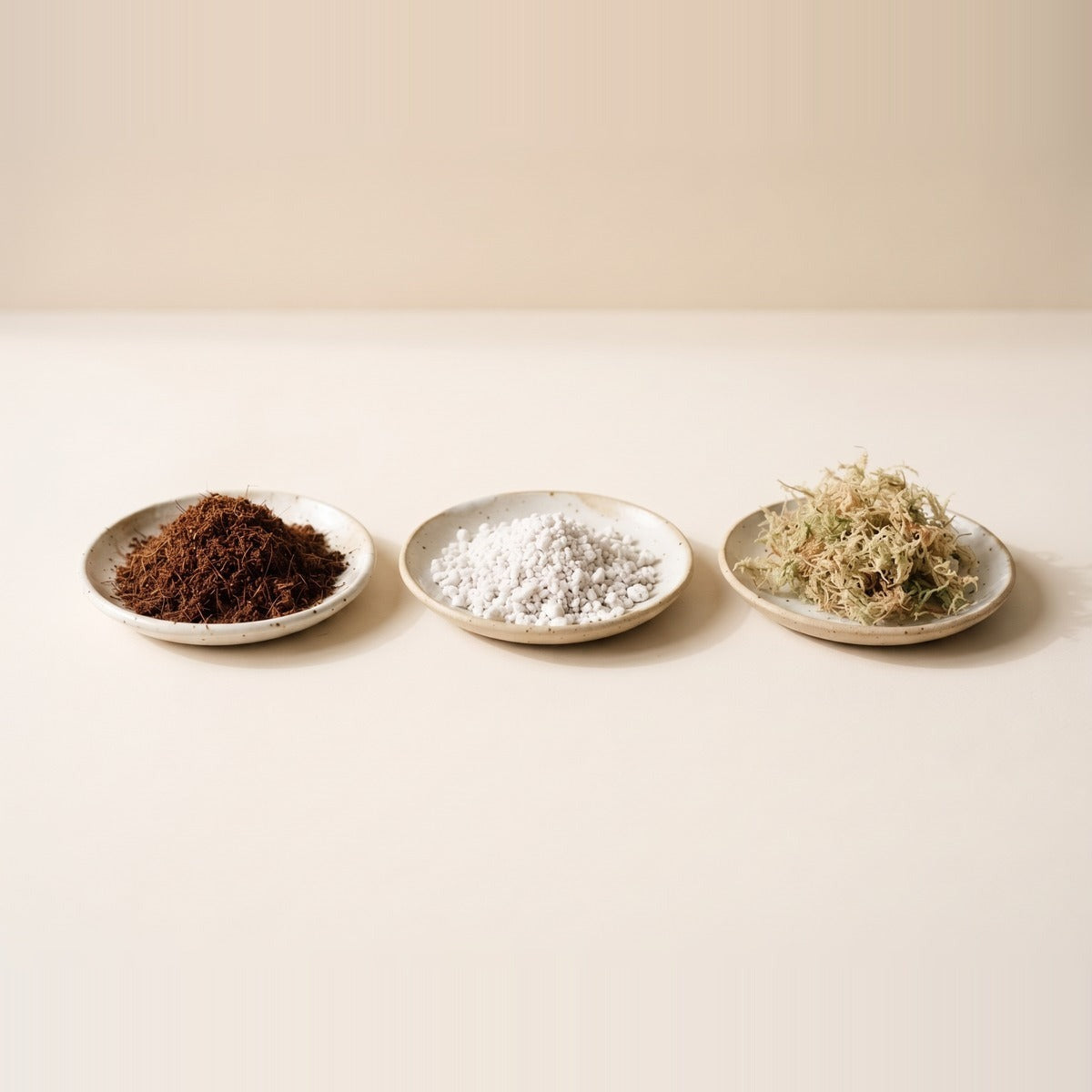 Substrates — growing substrates in four shallow terracotta dishes - clay pebbles, perlite, coco coir and sphagnum moss