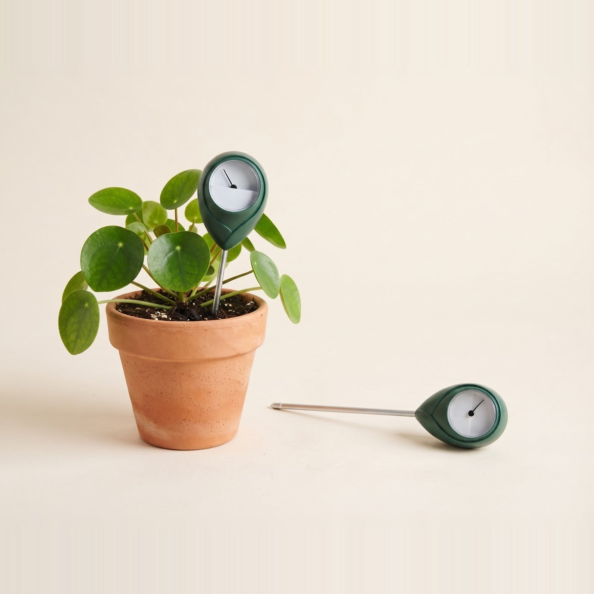 Water meters — a soil moisture meter probe inserted into a potted plant, plus two more meters lying beside it