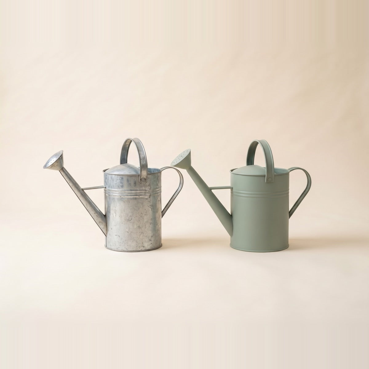 Watering cans — three watering cans of different shapes in galvanised metal, cream enamel and warm brass, beside a small potted plant
