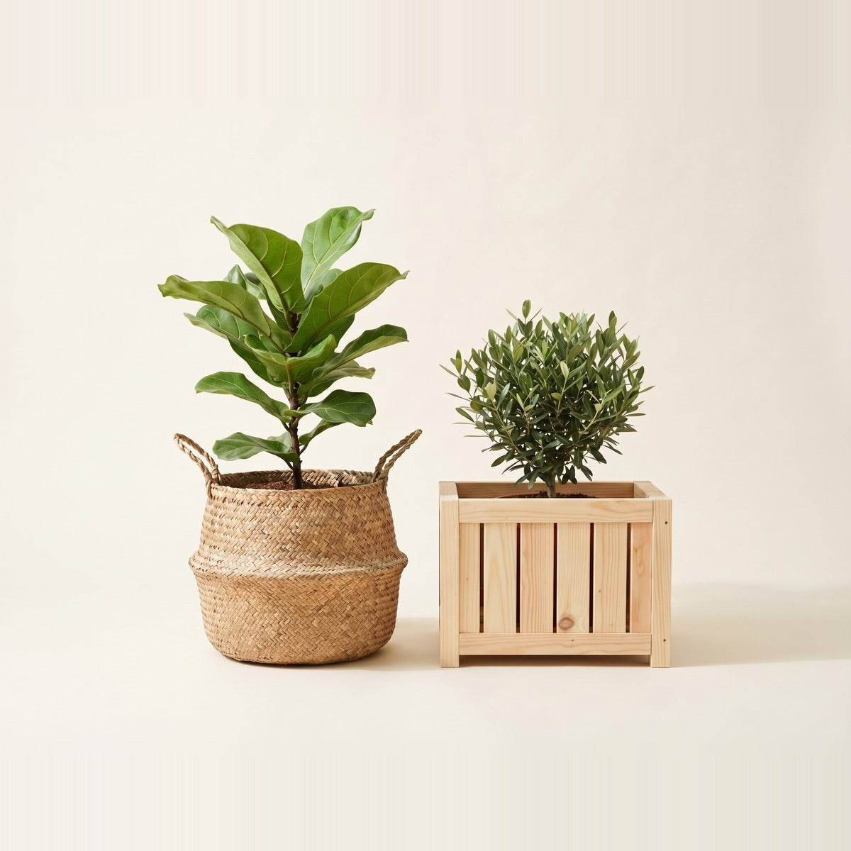 Woven & Wooden Planters — three woven seagrass basket planters and a wooden plant box, one basket holding a leafy plant