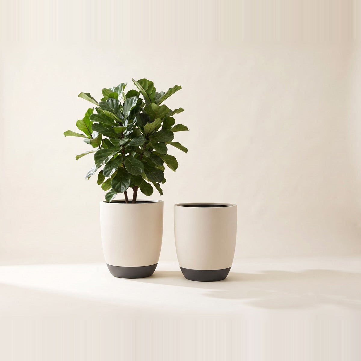 Extra Large Pots (50 cm+) — two very large floor planters over fifty centimetres wide in terracotta and cream ceramic, one empty one with a tall plant