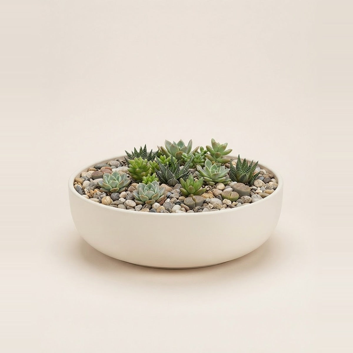 Bowls & Low Planters — four wide shallow low bowl planters in terracotta, cream and sand-glazed ceramic, one holding a low succulent