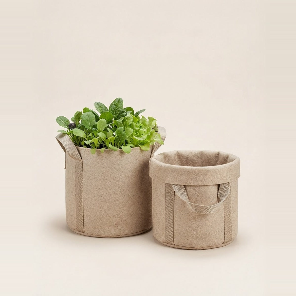 Fabric Pots & Grow Bags — three black and beige fabric grow bags with handles, one filled with dark soil and a young tomato plant