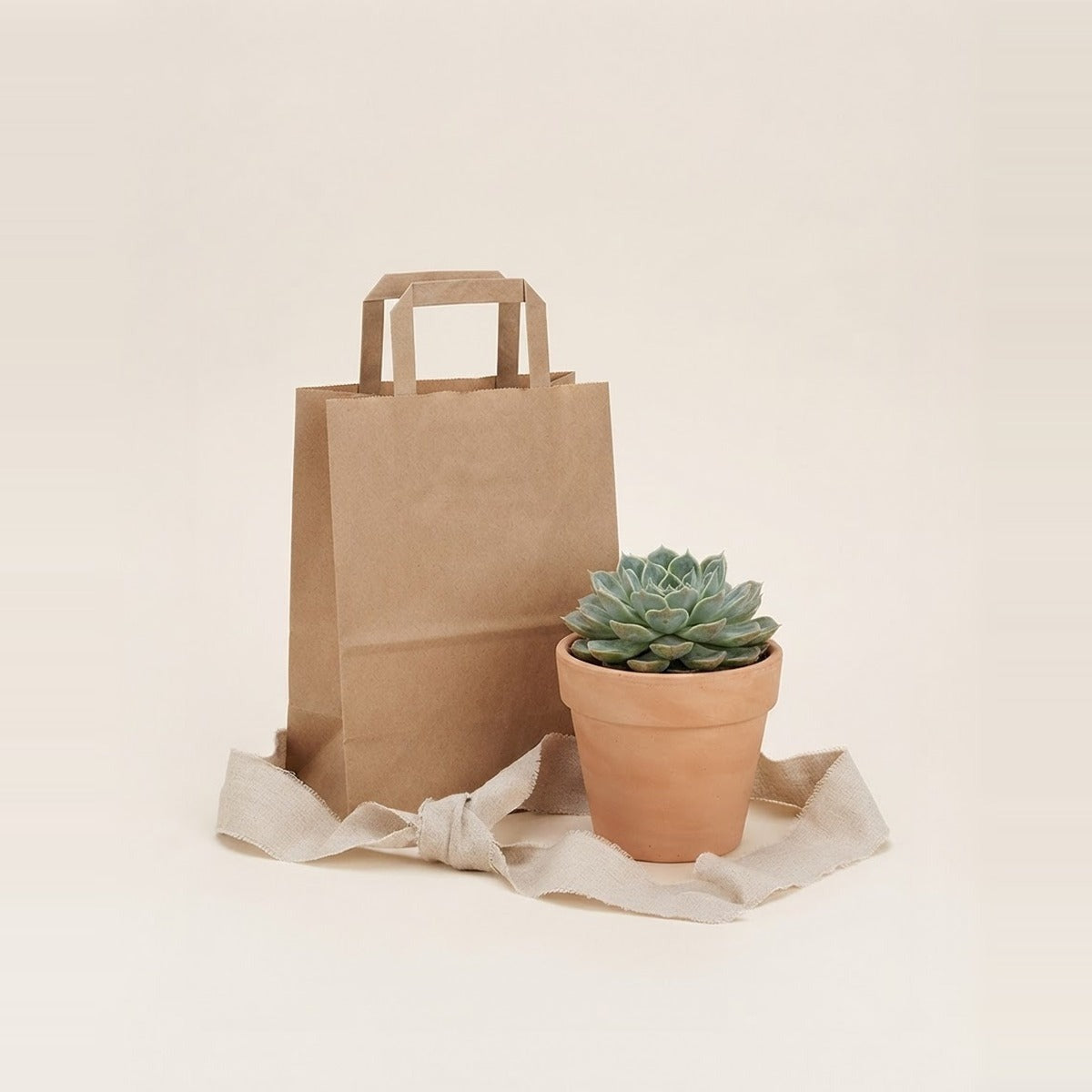 Gifts — a plant gift set - a small potted plant, a kraft gift bag and a length of ribbon