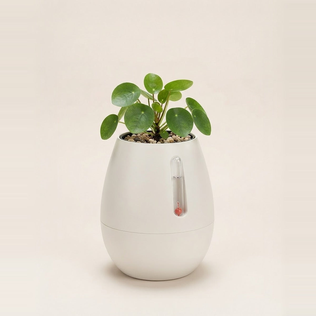 Self-Watering Pots — two self watering planters in cream and grey, one cut-away style showing the water reservoir, one holding a leafy plant