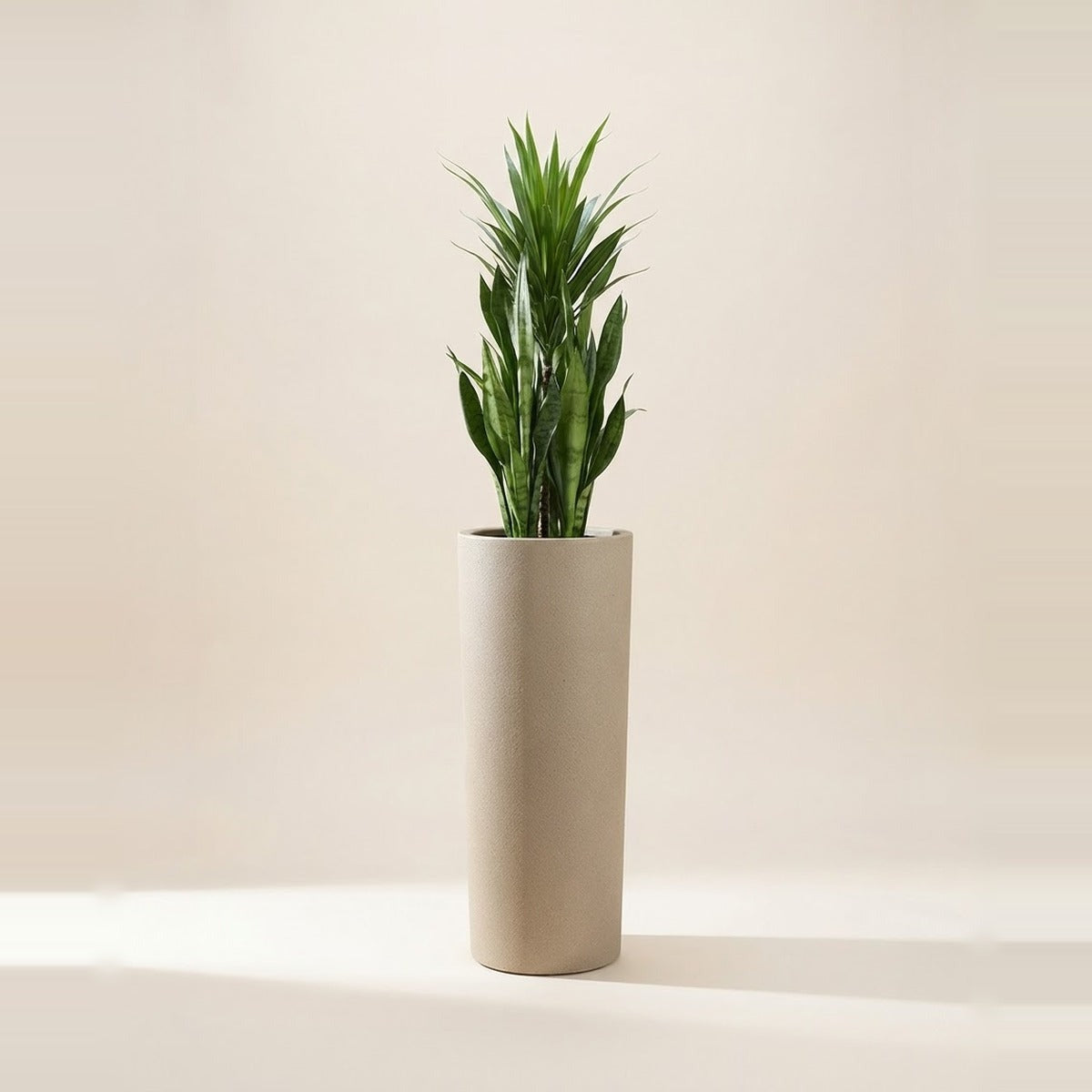 Tall & Floor Planters — three tall slim floor planters in cream, terracotta and charcoal, one holding a tall slender plant