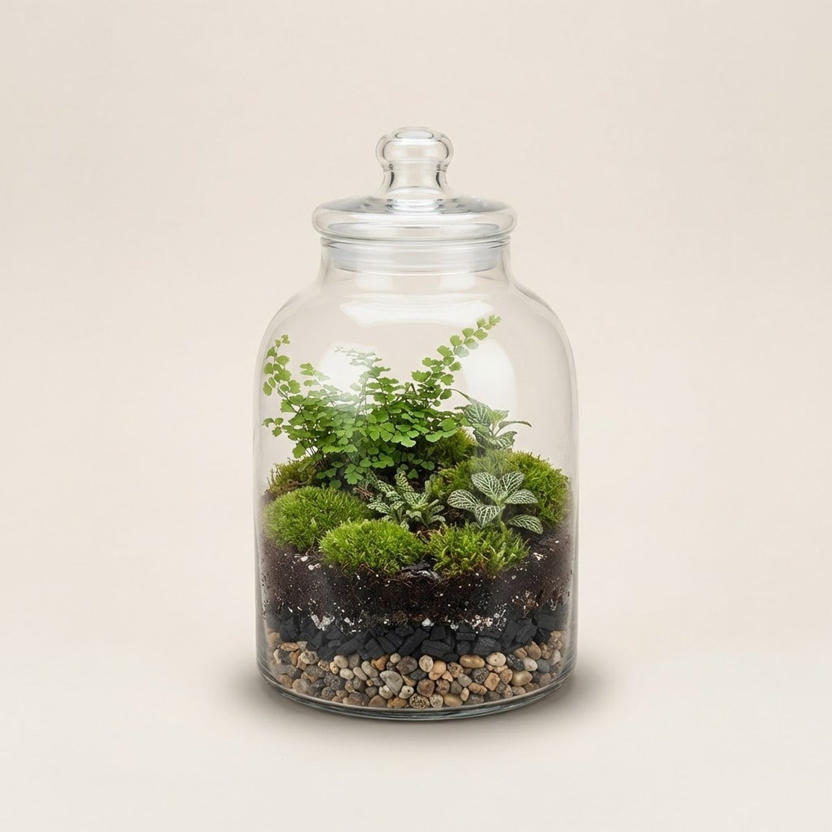 Terrarium Plants & Supplies — an open glass terrarium bowl planted with tiny ferns and moss, beside terrarium supplies - fine gravel, moss and small tools
