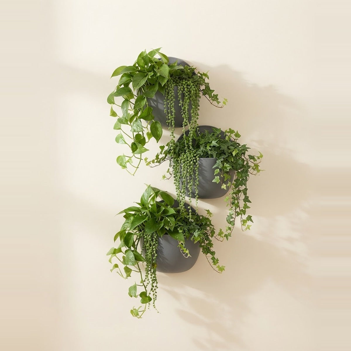Wall Planters & Vertical Gardens — a vertical garden wall panel of small green plants and two wall mounted ceramic planters with trailing foliage