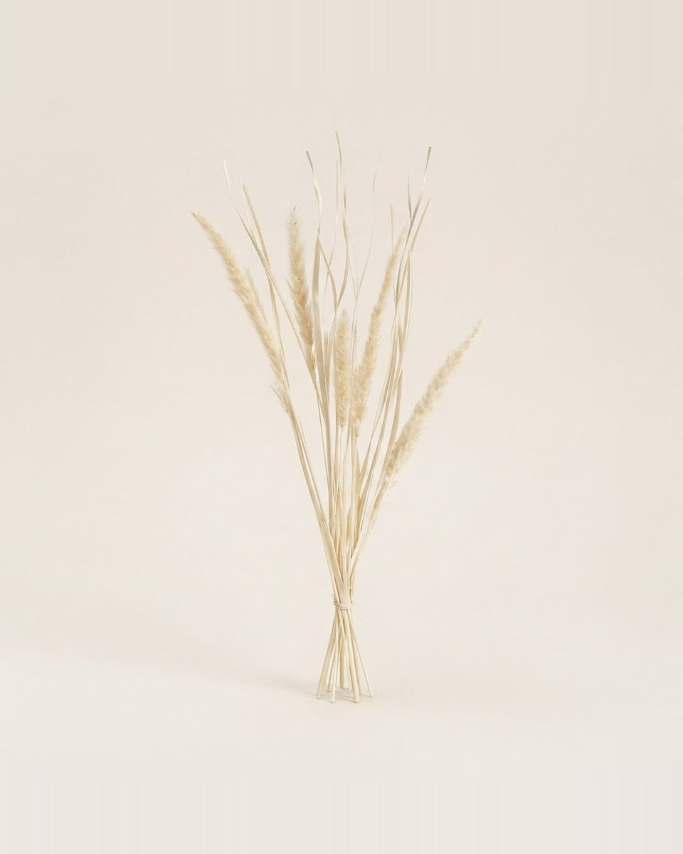 Deco Fox Tail Stems 90 cm