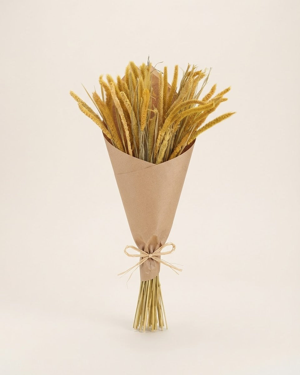 Fox Tail Pampas Bouquet 50 cm