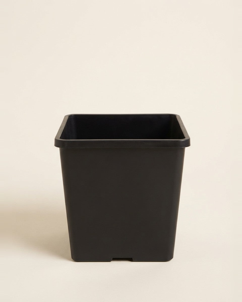 Deep Plastic Pot 20 cm أصيص بلاستيك عميق ٢٠ سم