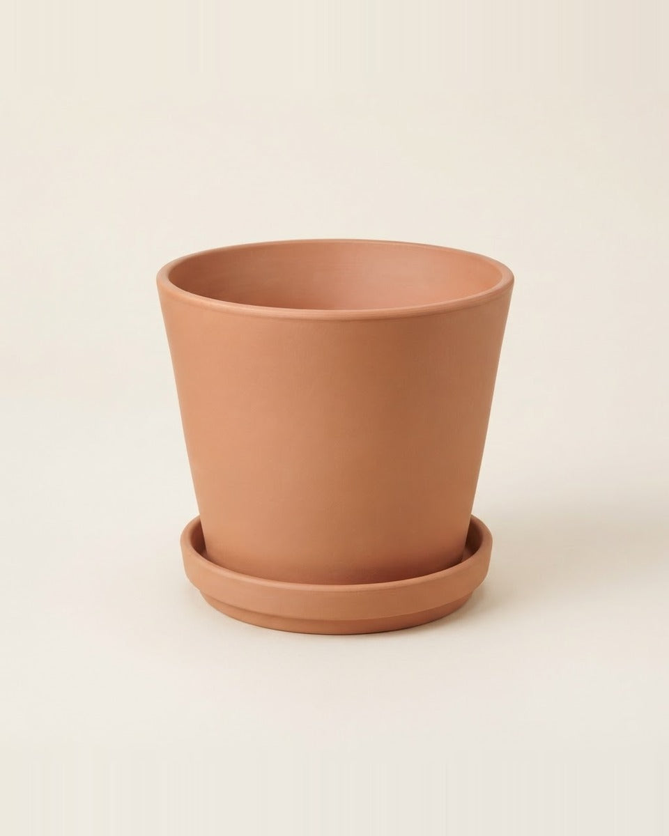 Terracotta Plant Pot with Saucer, 24 cm