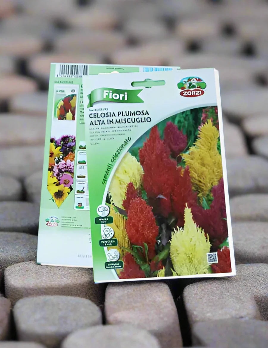 Celosia Seed - supplier photo