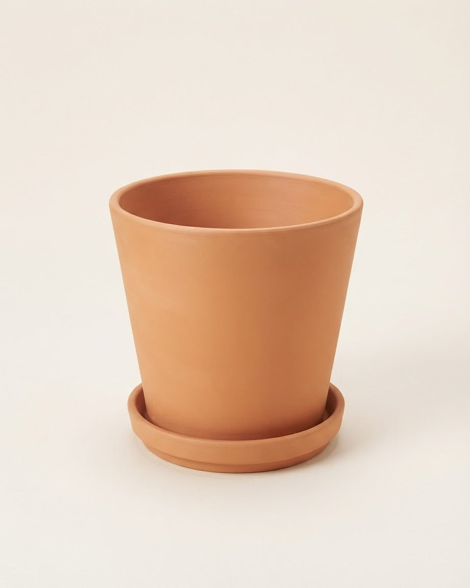 Terracotta Plant Pot with Saucer, 32 cm