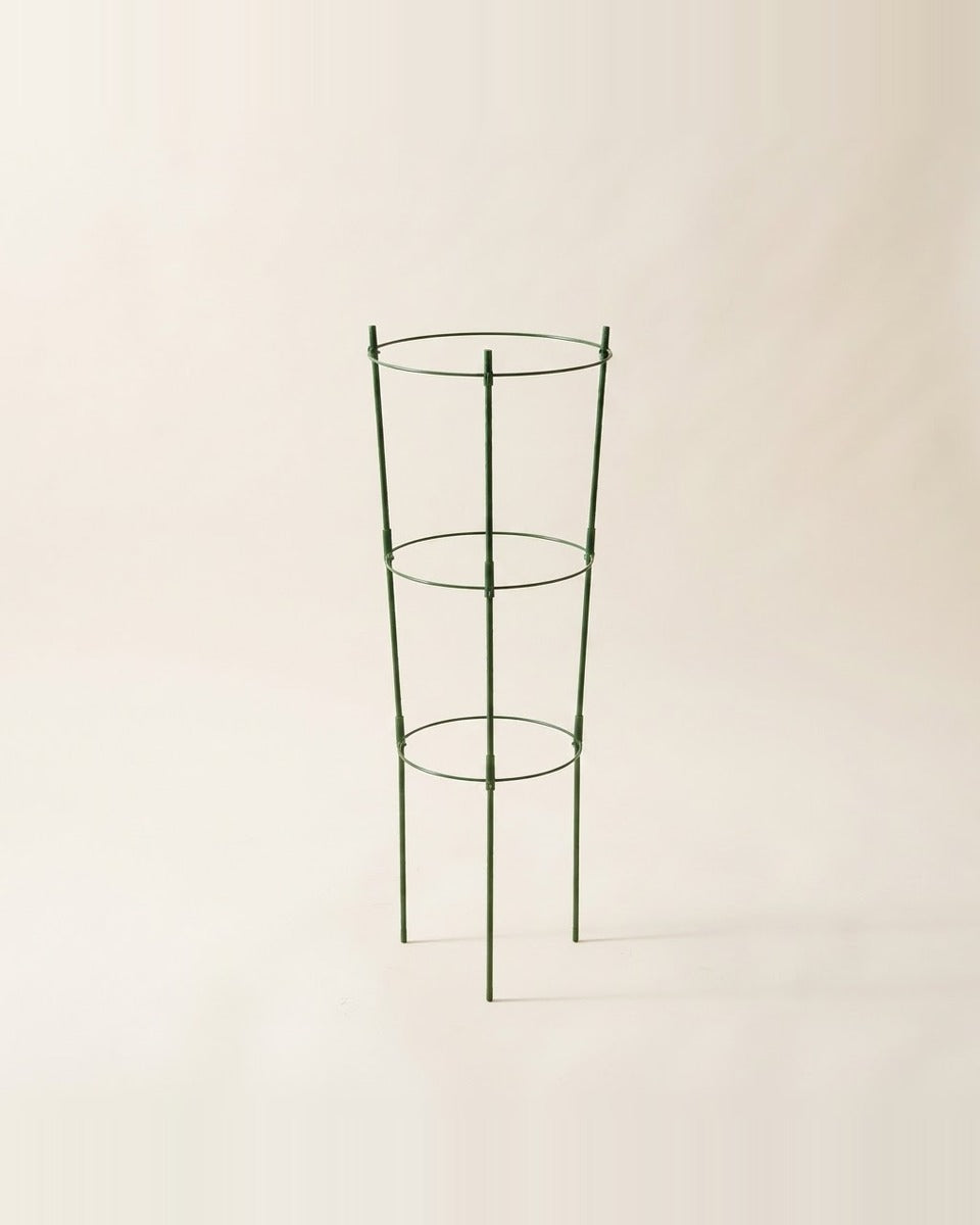 Tomato Cage Trellis 120cm تعريشة