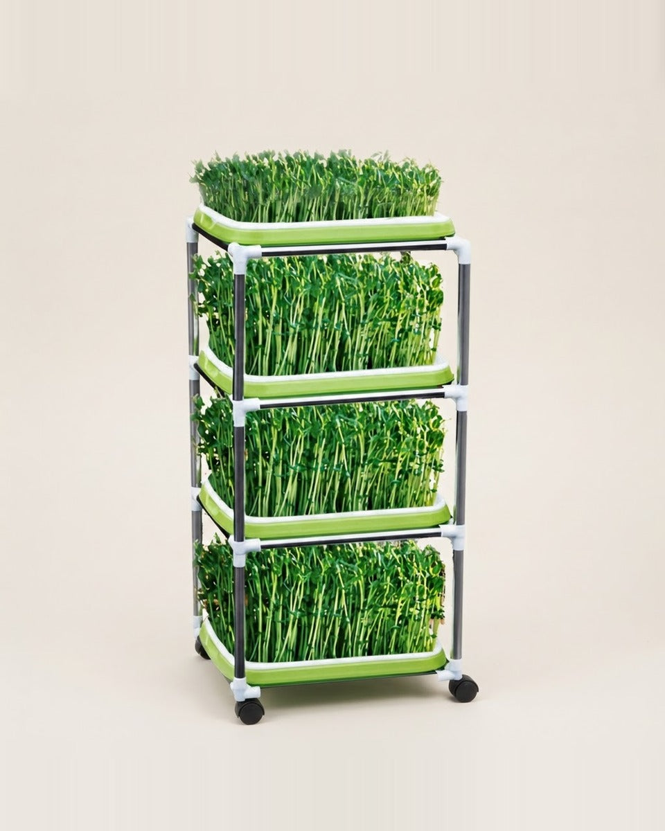 Microgreen Tray & Trolley Set صينية