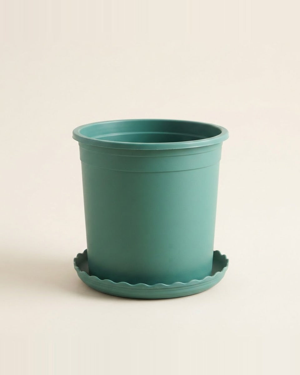 Green Pot with Saucer 32 cm أصيص أخضر مع صحن