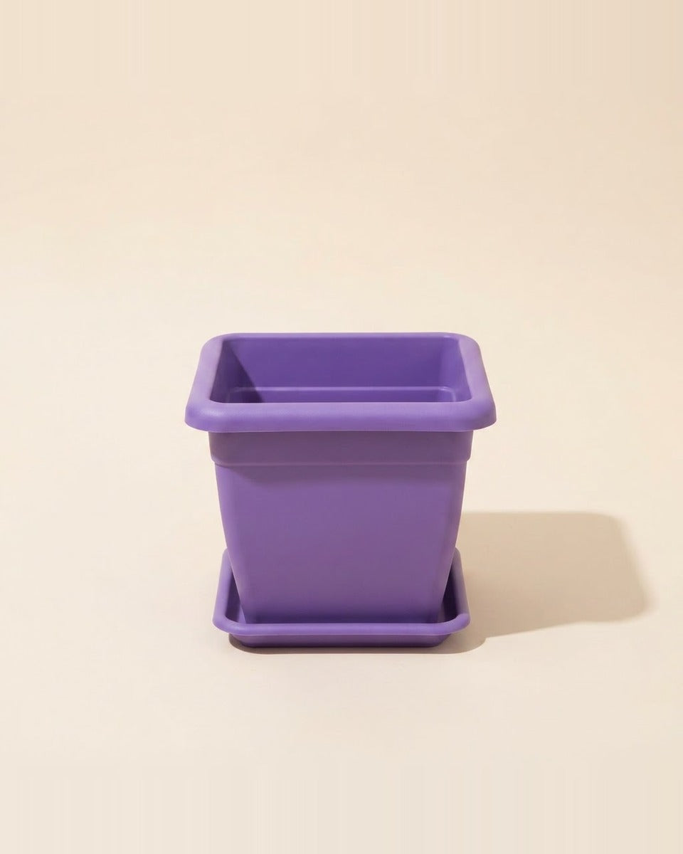 Square Plastic Pot – 40 CM (Purple) حوض نباتات