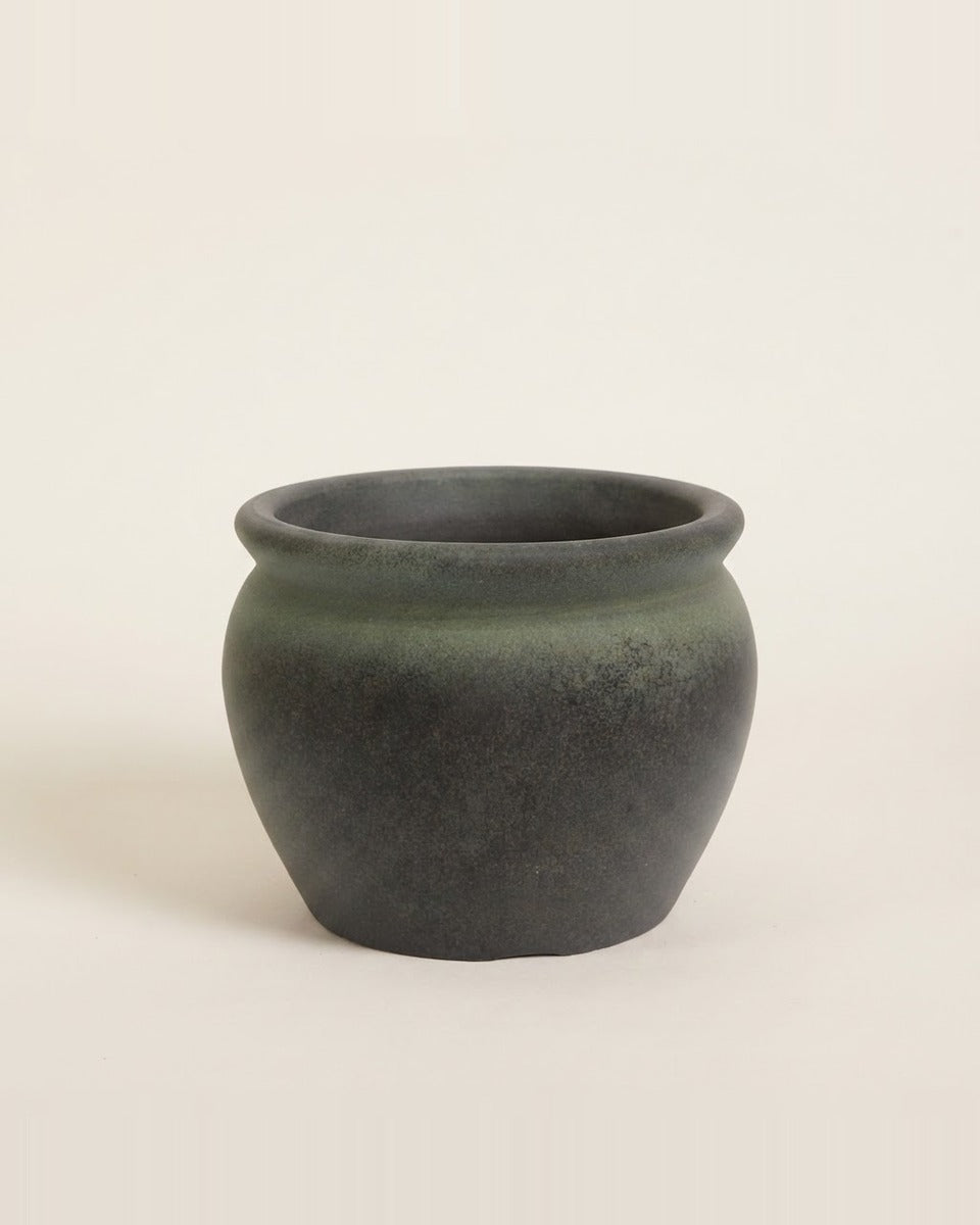 Round Belly Pot حوض نباتات