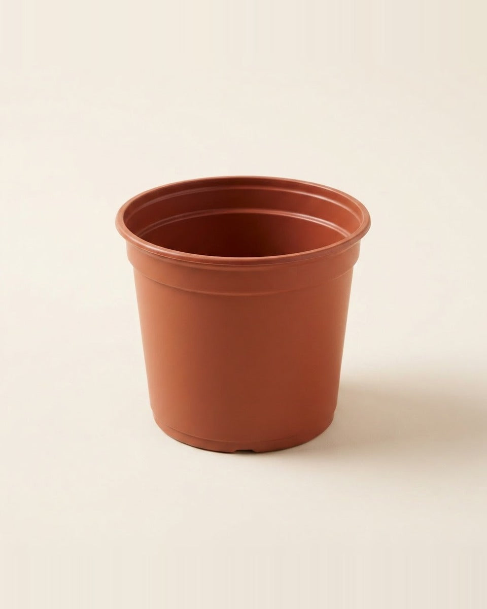 Lightweight Plastic Pot 23.5 cm 5 Pieces اصيص بلاستيك خفيف 2