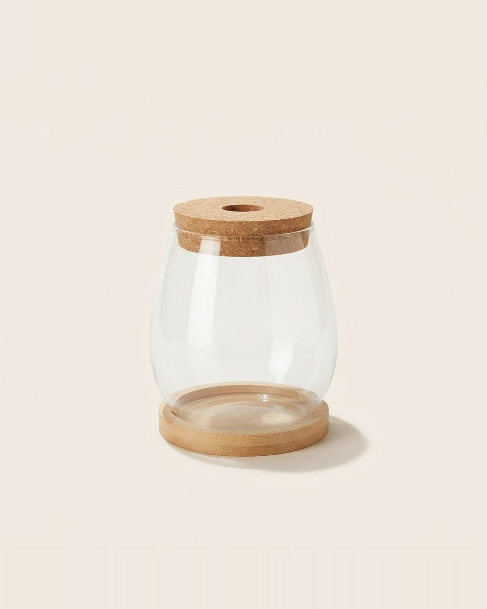 Round glass propagation vase with cork lid مزهرية إكثار بغطاء فلين