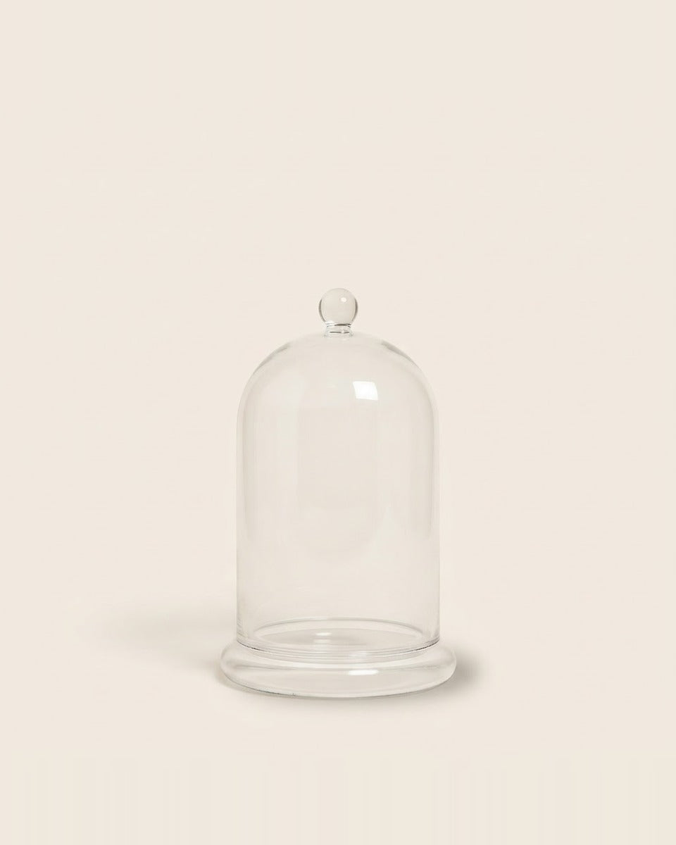 Glass cloche with base غطاء زجاجي