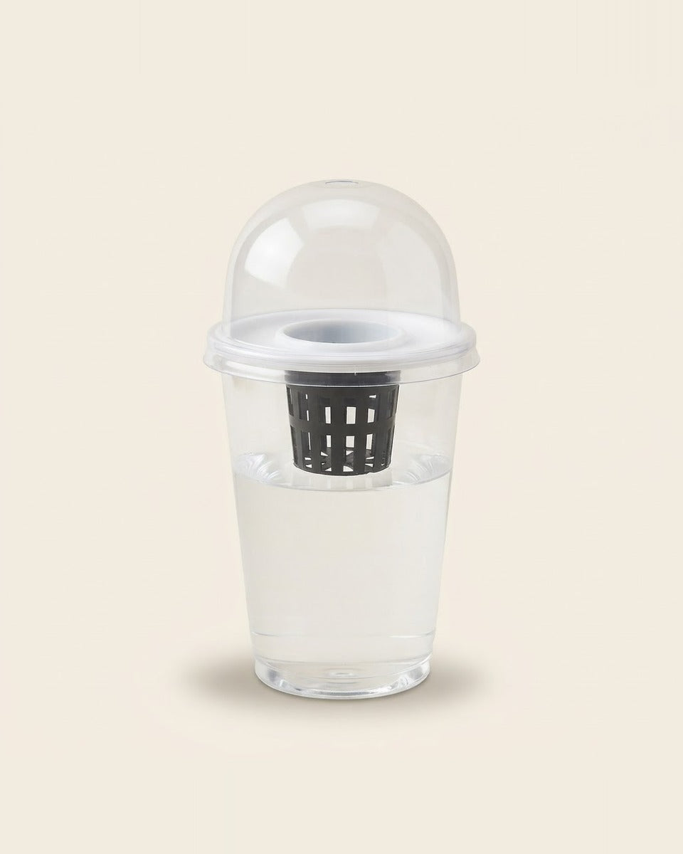 Hydroponic seed starter cup kit كوب إنبات مائي