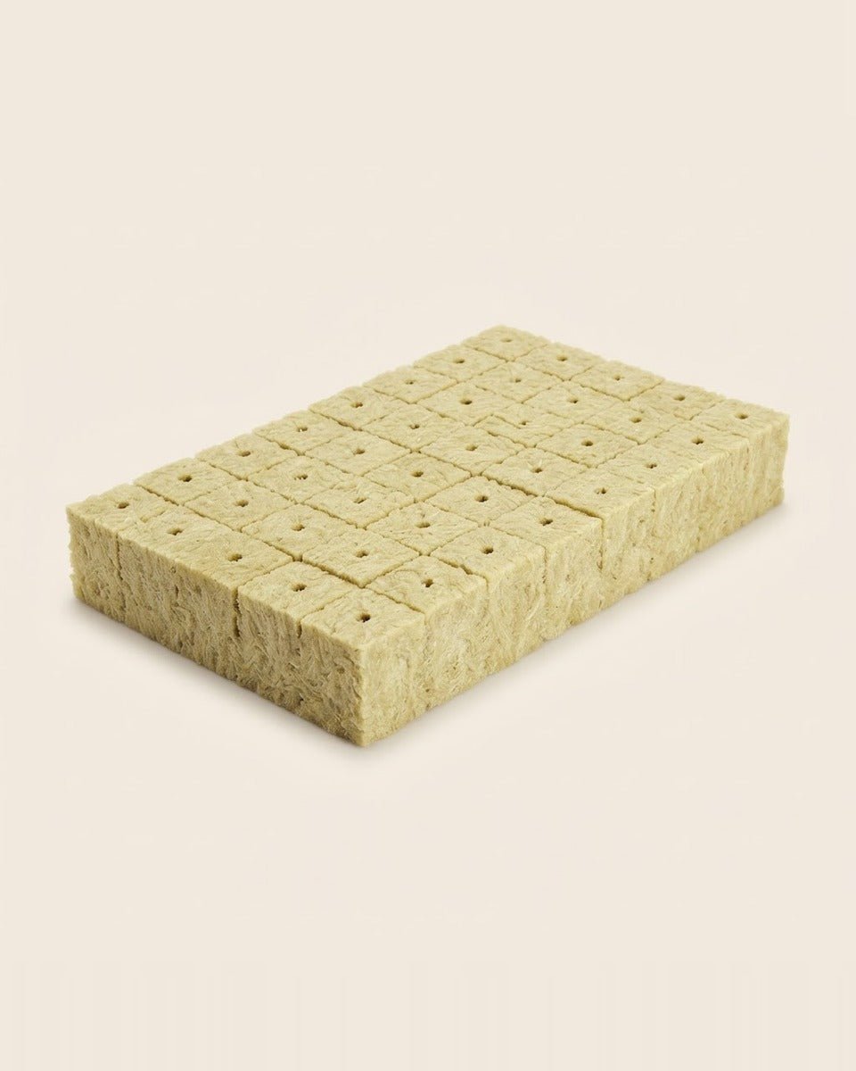 Rockwool starter cubes, sheet of 50 مكعبات صوف صخري