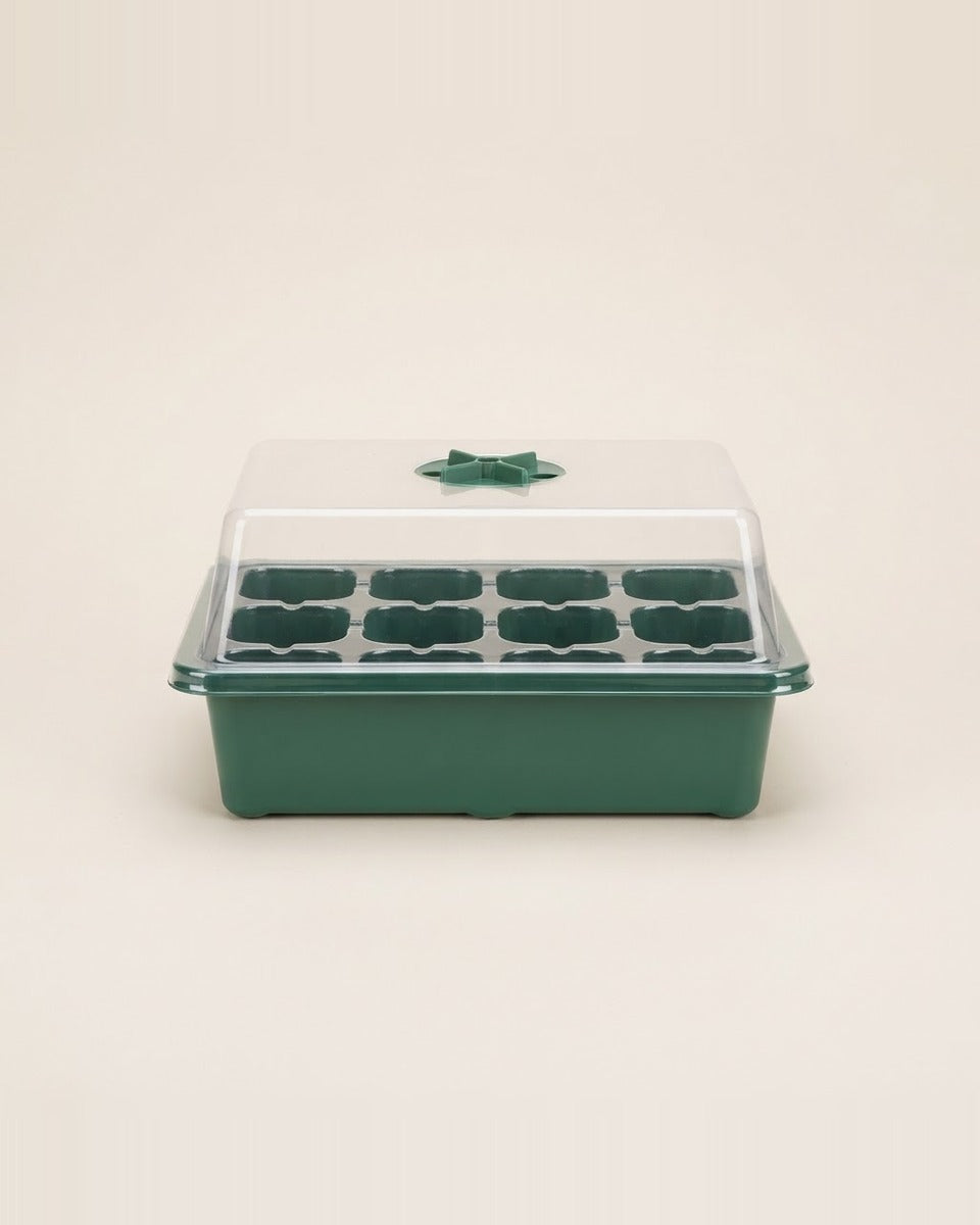Seedling box with humidity dome, 12 cells صندوق إنبات