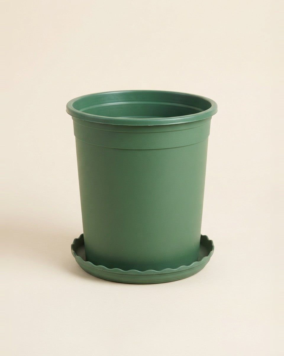 Green Pot with Saucer 22.5 cm أصيص أخضر مع صحن