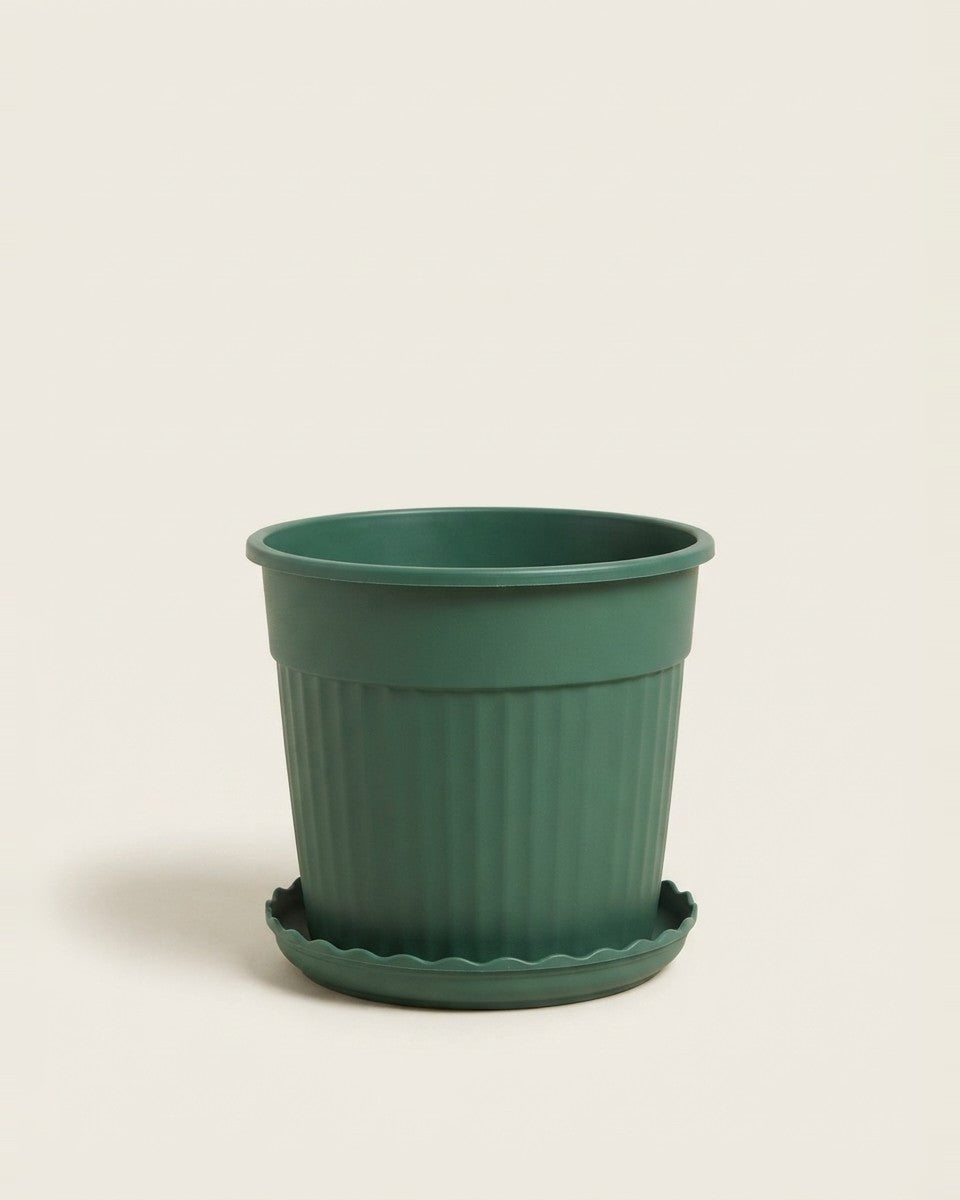 Green Pot with Saucer 27.5 cm أصيص أخضر مع صحن