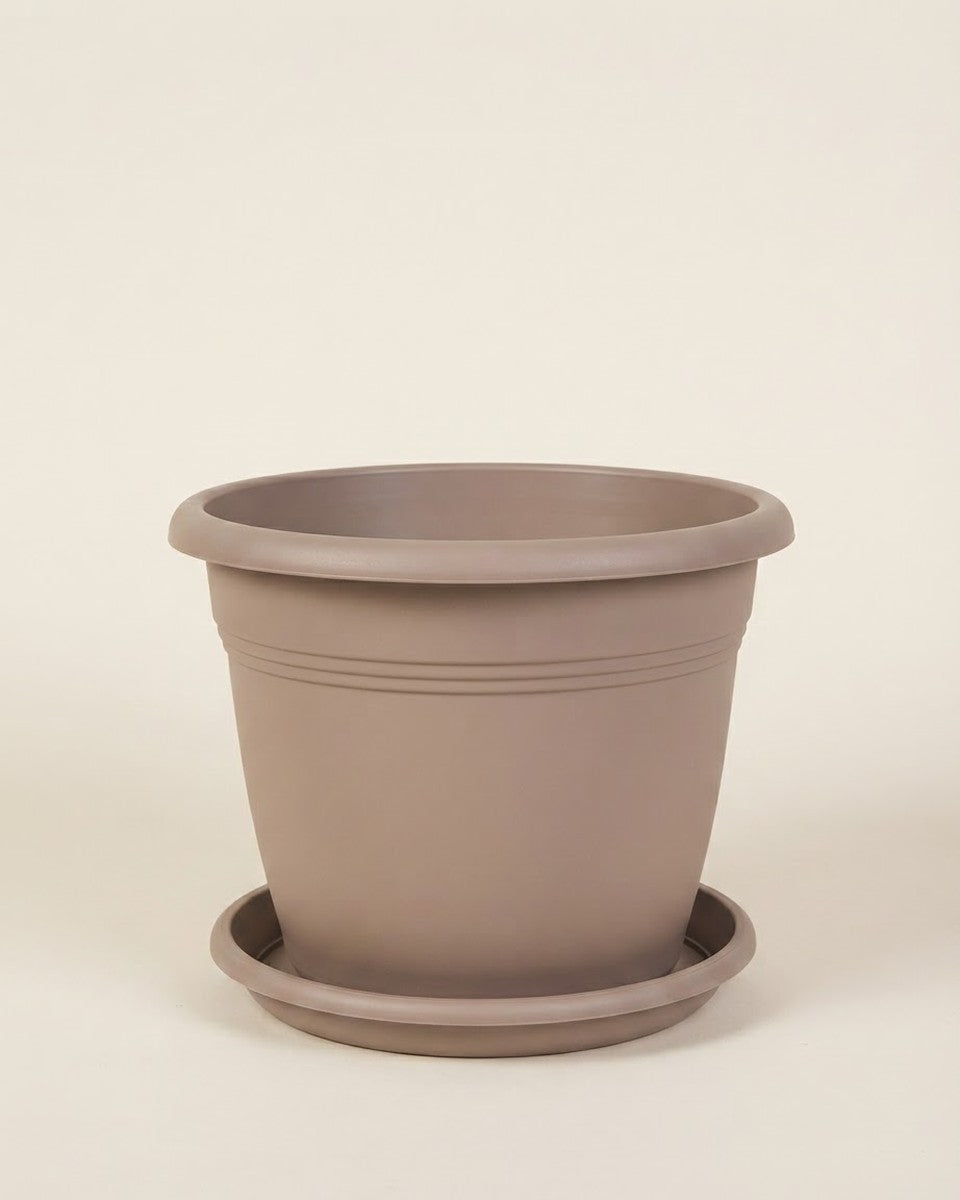 50 Cm Cappucino Plastic Line Pot