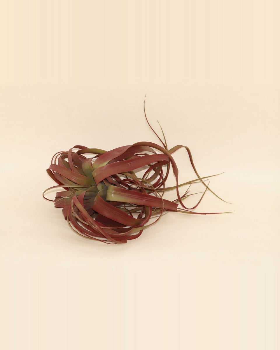 Artificial Air Plant, Burgundy