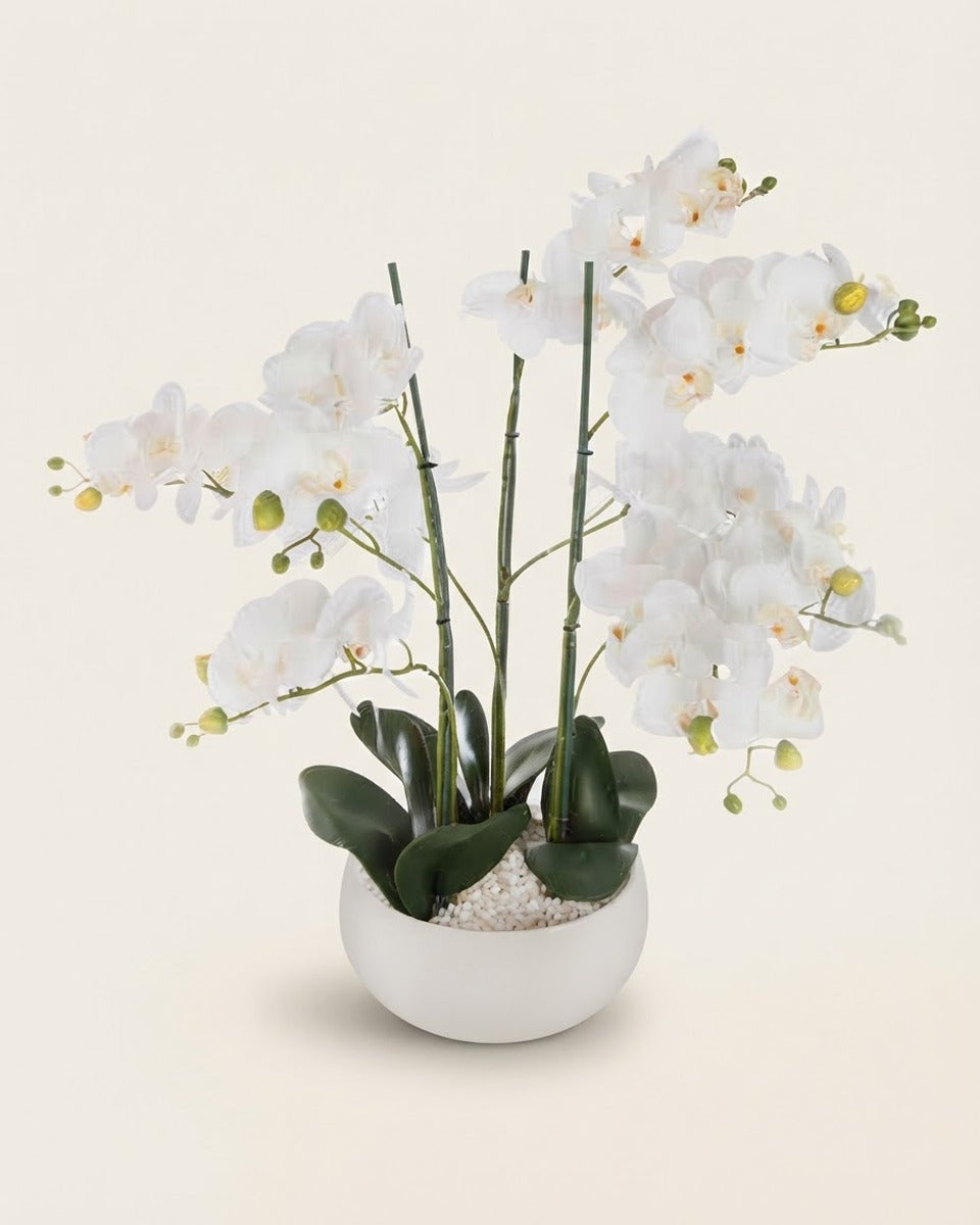Artificial Orchid in White Ceramic Pot, 65 cm