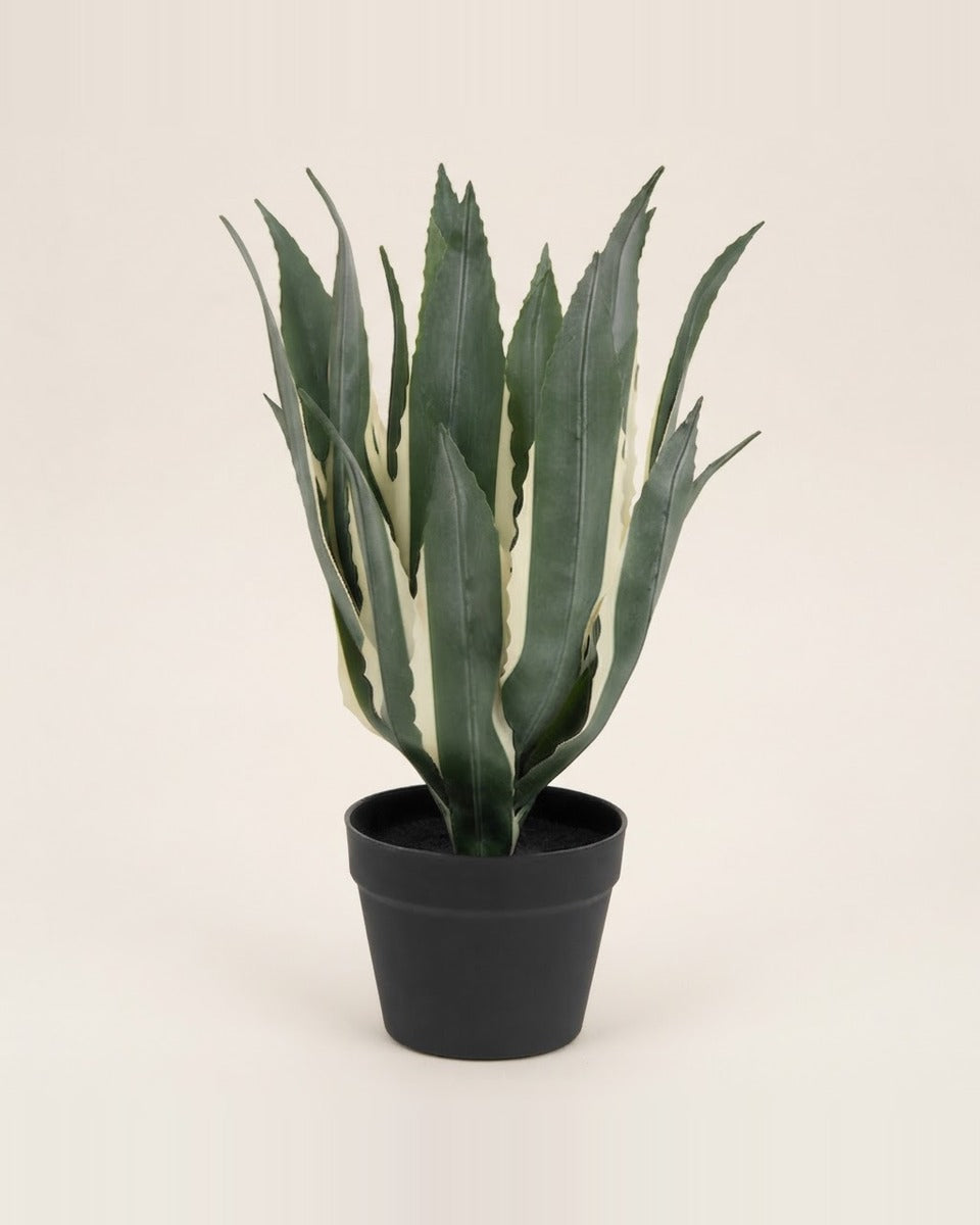 Artificial Agave in Black Pot, 55 cm