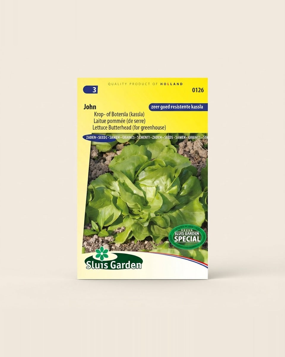 Butterhead Lettuce Seeds, John