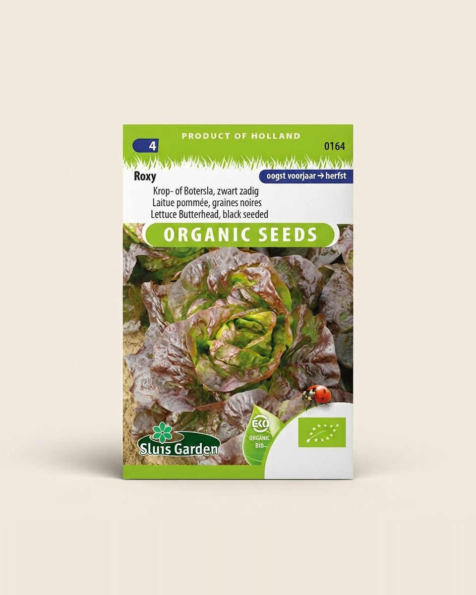 Organic Butterhead Lettuce Seeds, Roxy