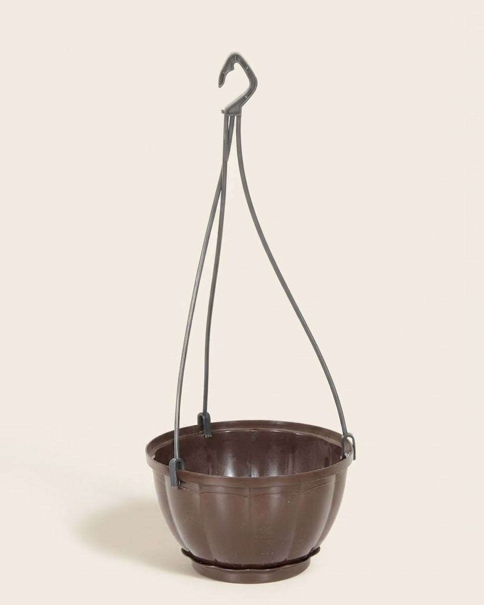 Hanging Plastic Pot, Dark Brown