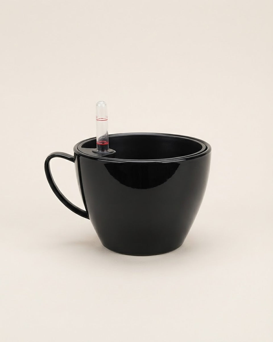 Self-Watering Teacup Pot, Black